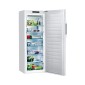 CONGELATEUR 7 TIRROIRS  350 L WHITE NV PRIX CONGÉLATEUR RAYLAN